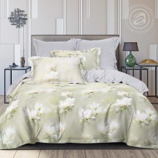 КПБ Дороти 876, размер 2 сп. с Евро