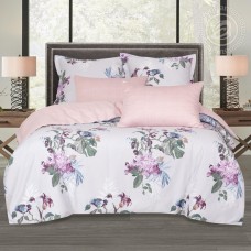 КПБ Прага 709, размер Семейный КПБ Прага 709, размер Семейный