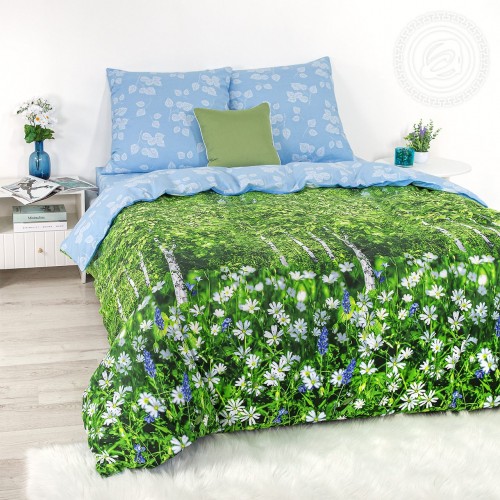 КПБ Белая березонька 904, размер 2,0 сп.