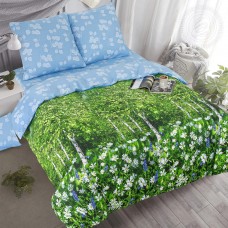 КПБ Белая березонька 904, размер 2,0 сп.