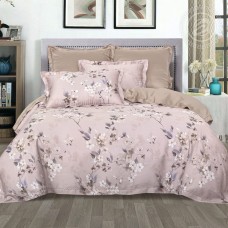 КПБ Дана 876, размер 2 сп. с Евро