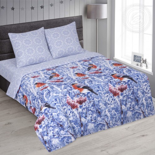 КПБ Снегири 509, размер 2 сп. с Евро