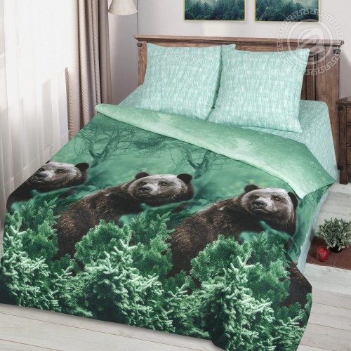 Постельное белье Сила Сибири 509, размер 2 сп. с Евро