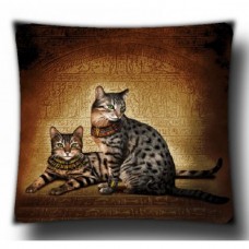 Гобеленовая Наволочка 